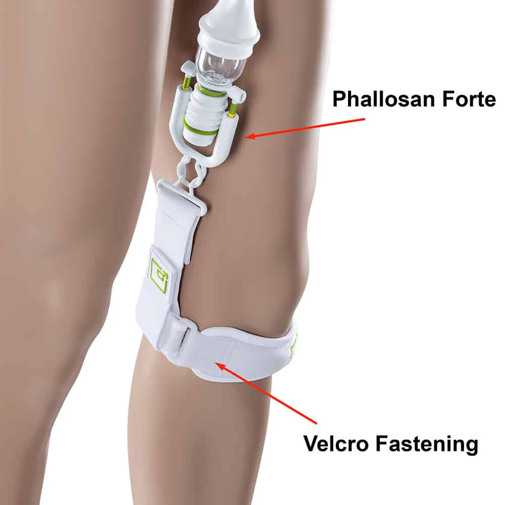 Phallo Vertical Usage